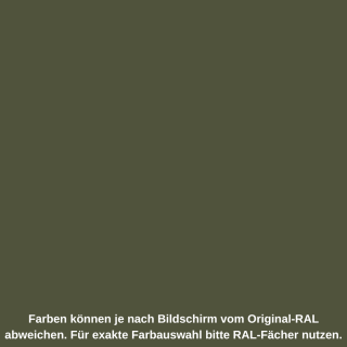 RAL 6003 - Olivgrün matt